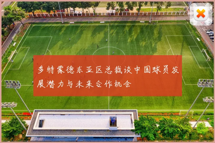 多特蒙德东亚区总裁谈中国球员发展潜力与未来合作机会