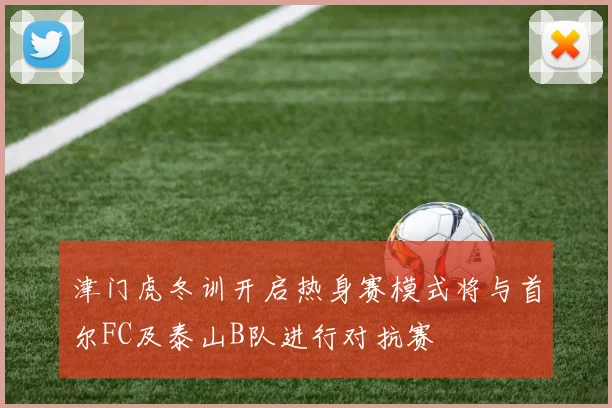 津门虎冬训开启热身赛模式将与首尔FC及泰山B队进行对抗赛